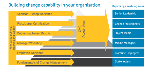 Change Capability in Your organisation