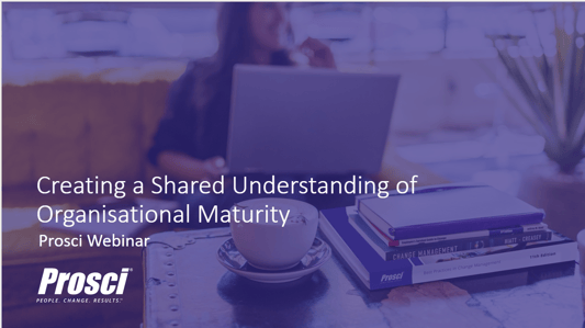 Create a Shared Undertanding of Organisational Maturity